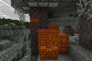 Where to find resin clot and pericarp in Minecraft? photo