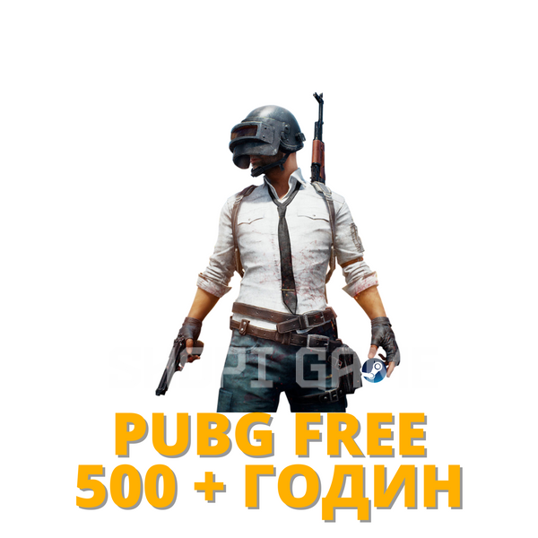 Steam Pubg FREE 500+ HOURS 339 photo