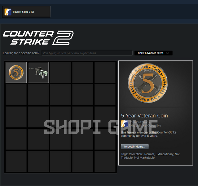 Cs2 medal 5 years of service + 100 hours in Cs2 + inventory + full access 2250 photo