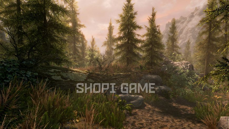The Elder Scrolls V: Skyrim Special Edition 548 фото