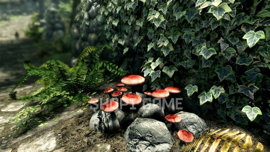 The Elder Scrolls V: Skyrim Special Edition 548 фото
