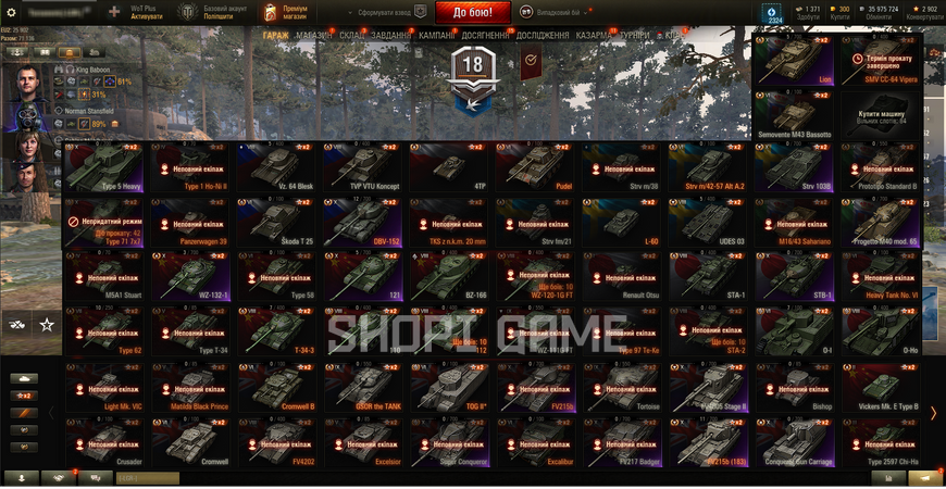 ACCESS TO MAIL! ! 80,786 Battles, 41 tops + (10) FV215b + (10) FV215b (183) + (10) Король мавп + (10) Lion, 94 premium tanks, 52% victories, 300 GOLD, 35,975,724 silver 2152 photo