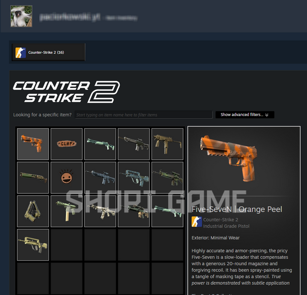 Cs2 (No prime status) awarded 200+ hours + 20 private rank in cs + full access 2252 photo