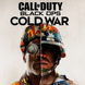 Случайный аккаунт Steam с игрой Call of Duty: Black Ops Cold War 2353 фото 1
