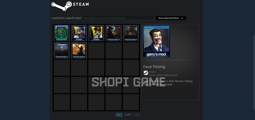 CS2 (without Prime) + 60 hours. | Level 6 | The Witcher 3, Crusader Kings III, BIGFOOT, Among Us, theHunter 2666 photo