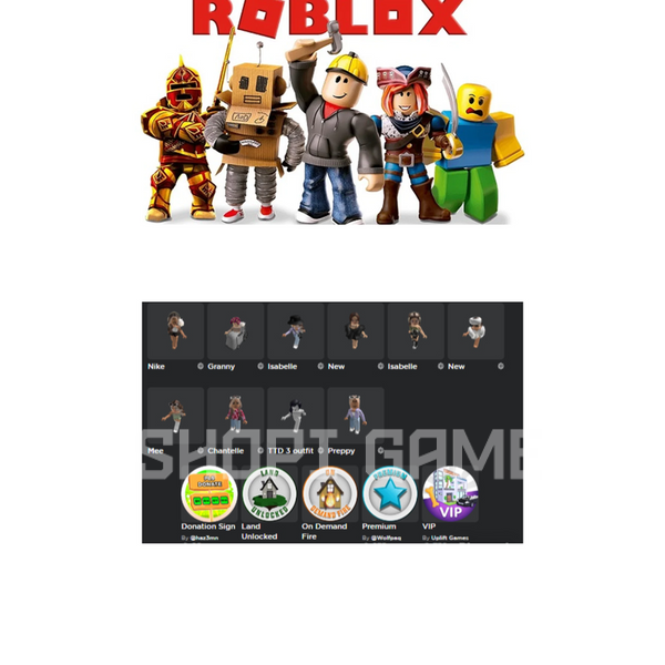 Roblox account with skin