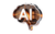 Промти для нейромереж (AI)