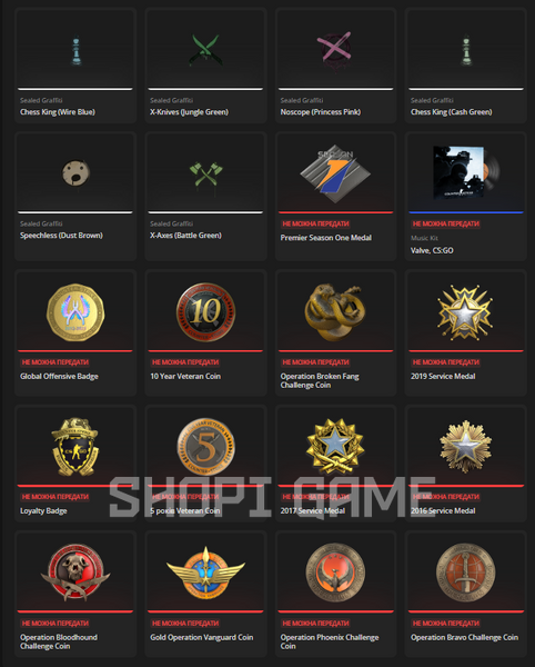 Cs2 Prime (9 135 год.) + 13 медалів. Інвентар Team Fortress 2 на 11 500 гривень 3031 фото