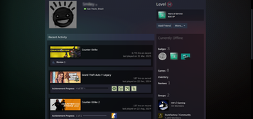 Cs2 (2 medals) + CS 1.6 1600 hours + 9 LvL steam 2832 photo
