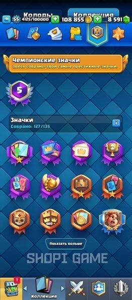 4 EVO + 5 Osk. | 9,000 Gems | 16 LvL Rocket | 121/121 cards | 10,500 cups | 2885 photo