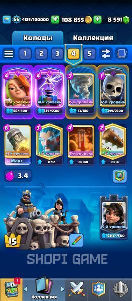 4 EVO + 5 Osk. | 9,000 Gems | 16 LvL Rocket | 121/121 cards | 10,500 cups | 2885 photo