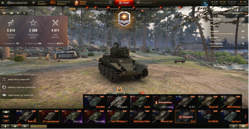 4811 battles, 3 top tanks, 11 premium tanks, 47% of victories, 760 gold, 800,000 silver | Password can be changed 1238 photo