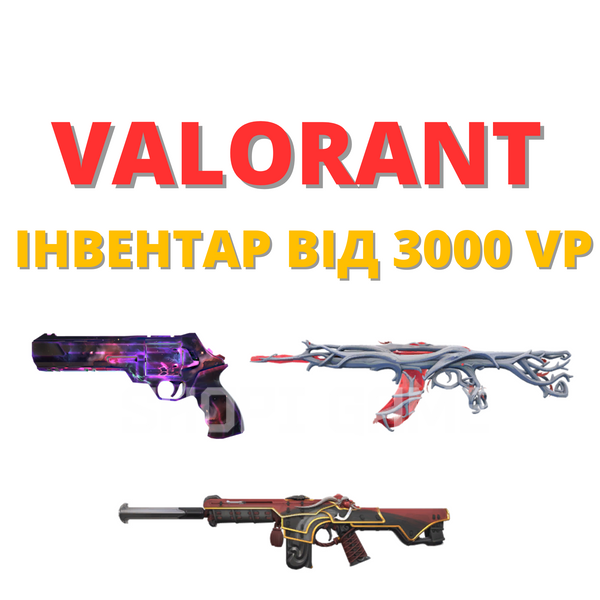 Valorant инвентарь от 3 000 VP (Европа) 536 фото